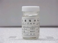 藏品(西海竿鯊)的圖片